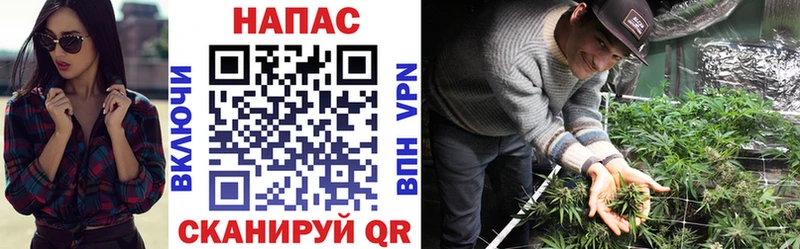 наркота  Чёрмоз  Шишки марихуана Bruce Banner 